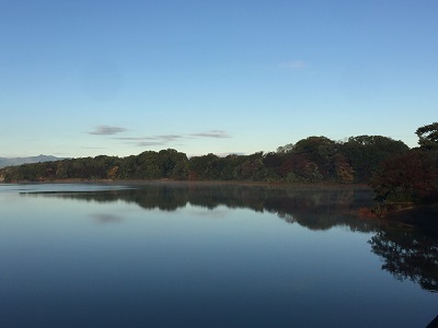a0134004_15094444.jpg