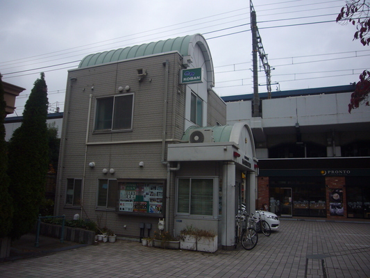 e0358504_2065915.jpg