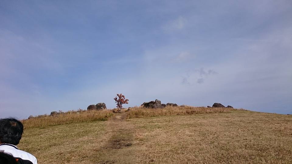 f0061705_10143743.jpg
