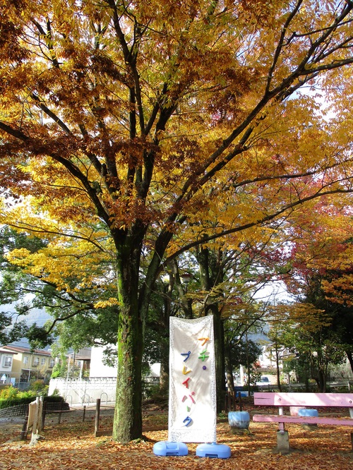 f0223705_14443451.jpg