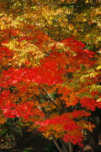 a0263109_11104552.jpg