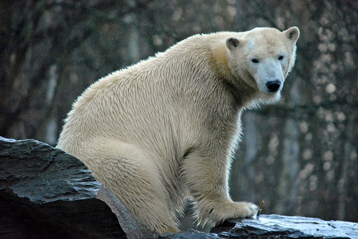 a0151913_3192949.jpg