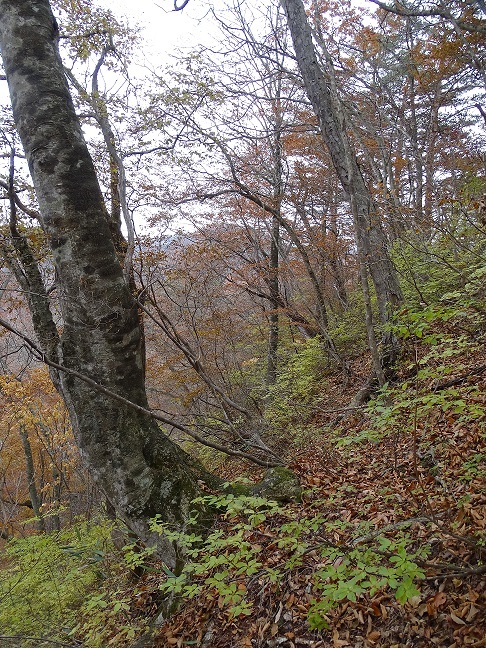 f0360815_15160686.jpg