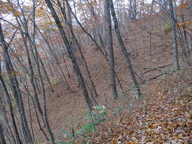 f0360815_15160792.jpg