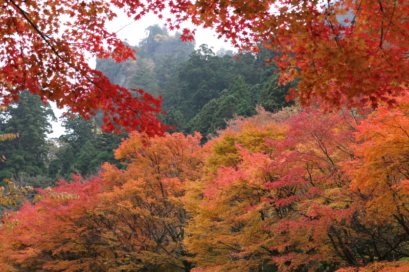 b0286321_09133353.jpg