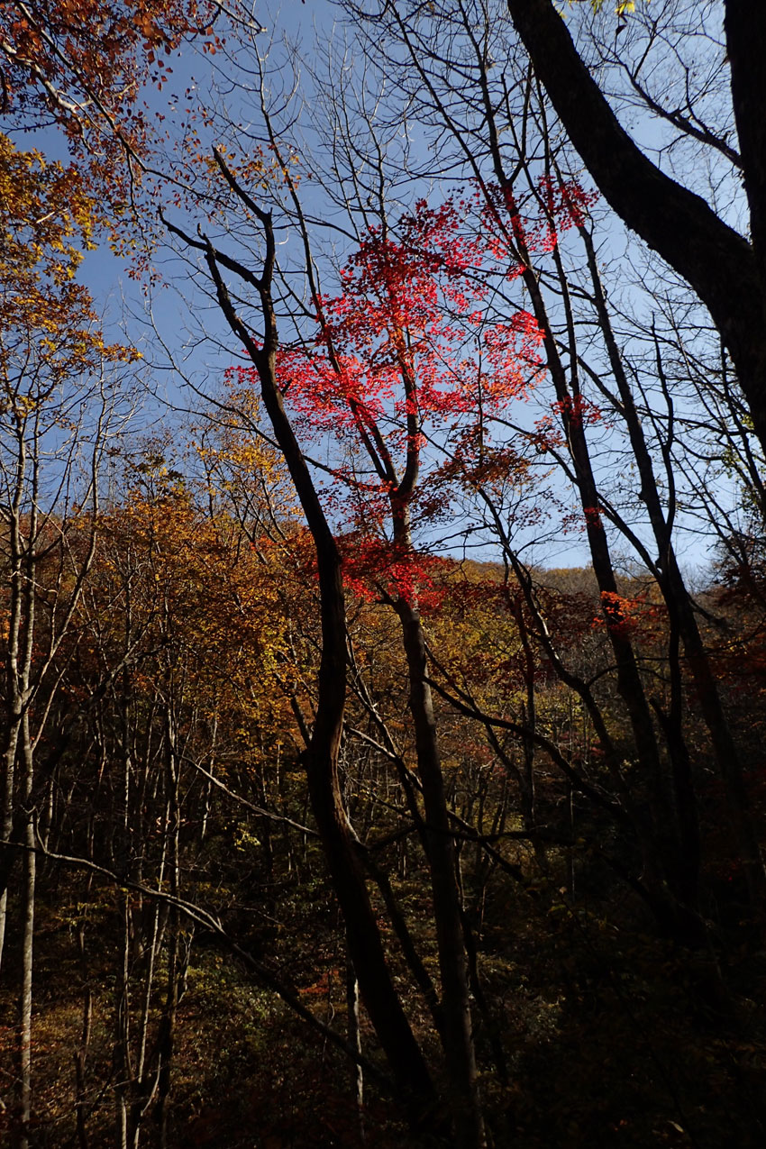 c0064025_03832.jpg