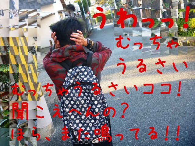d0137326_11302395.jpg