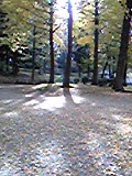 e0182926_17292239.jpg