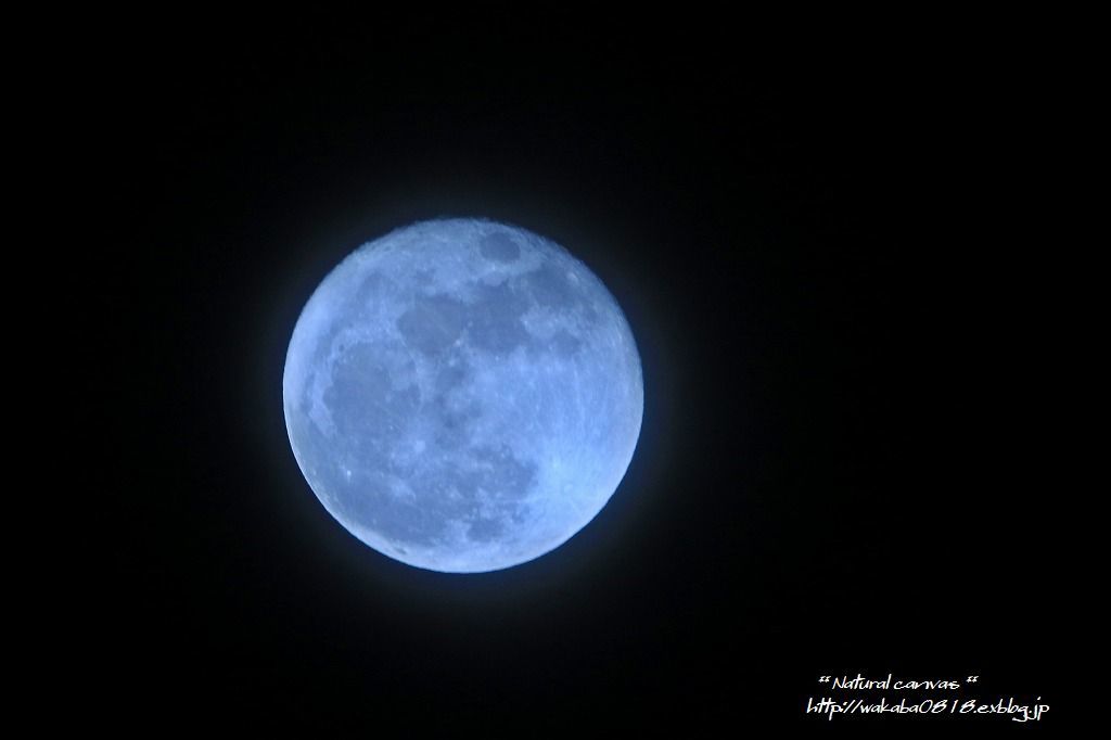 e0052135_22585842.jpg
