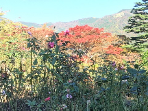 c0097838_08104789.jpg