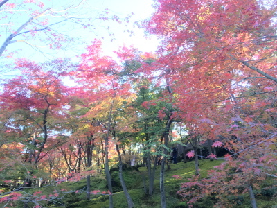c0097838_08145319.jpg