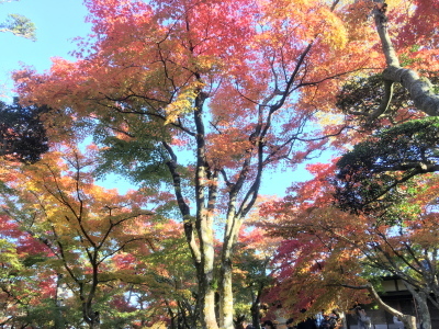 c0097838_08201250.jpg