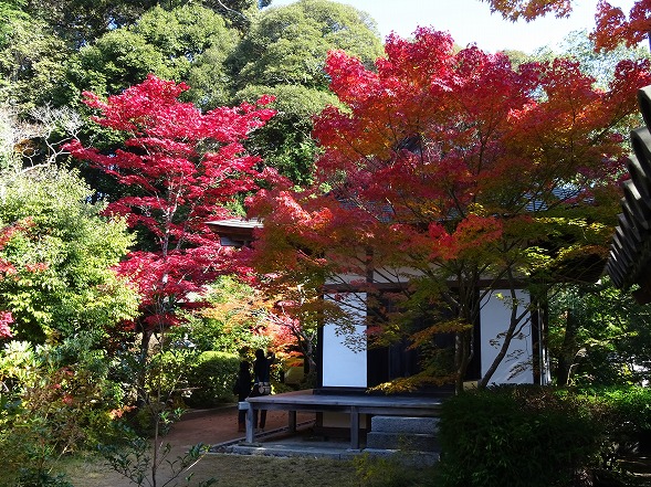 b0299042_1222680.jpg