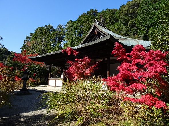 b0299042_123794.jpg