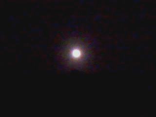 e0150843_21535052.jpg