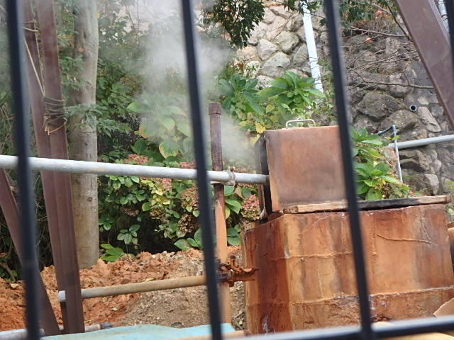 f0334143_20145637.jpg