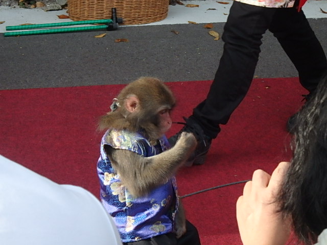 f0334143_20152057.jpg