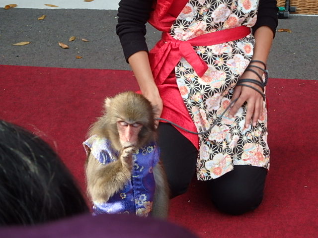 f0334143_20152981.jpg