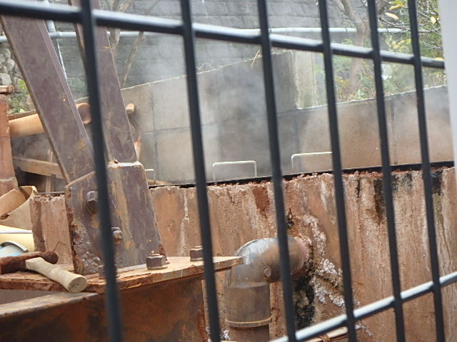 f0334143_2015463.jpg