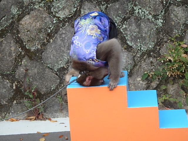 f0334143_20155851.jpg