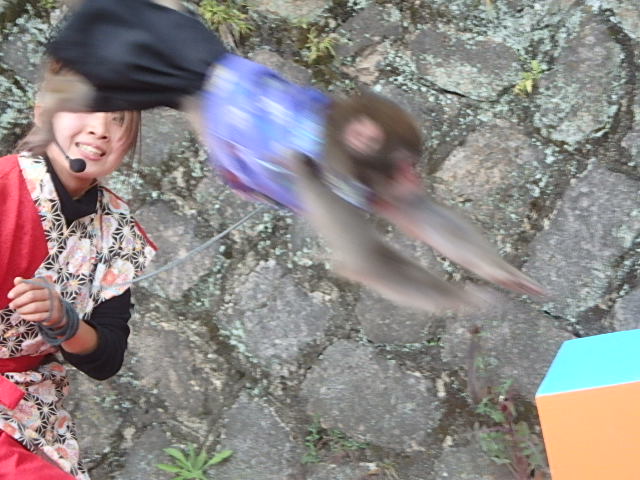 f0334143_2016951.jpg