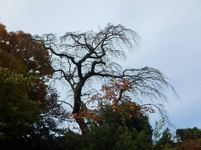 f0334143_20171467.jpg