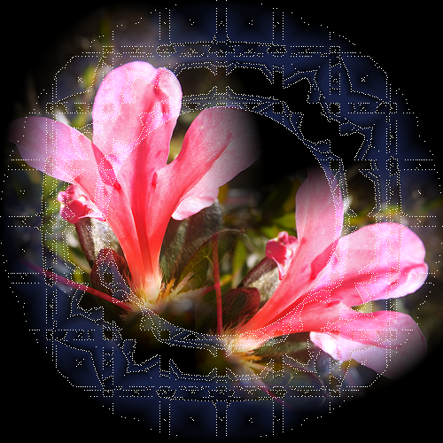b0133752_1442616.png