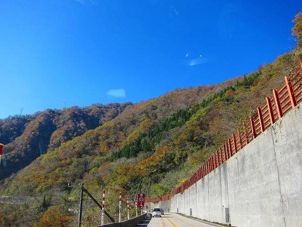 c0327752_11063475.jpg