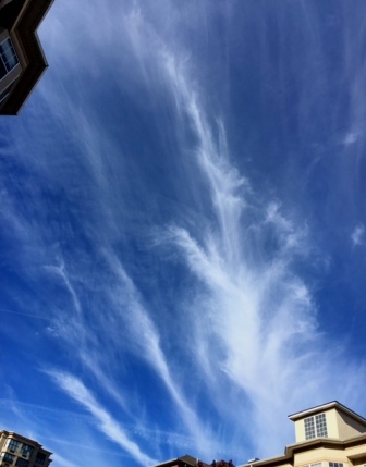 b0173754_00165695.jpg
