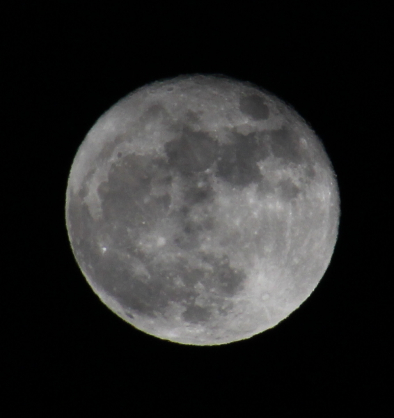 f0160554_21391444.jpg
