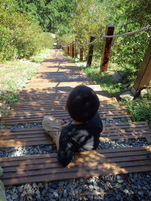 f0201157_14572848.jpg