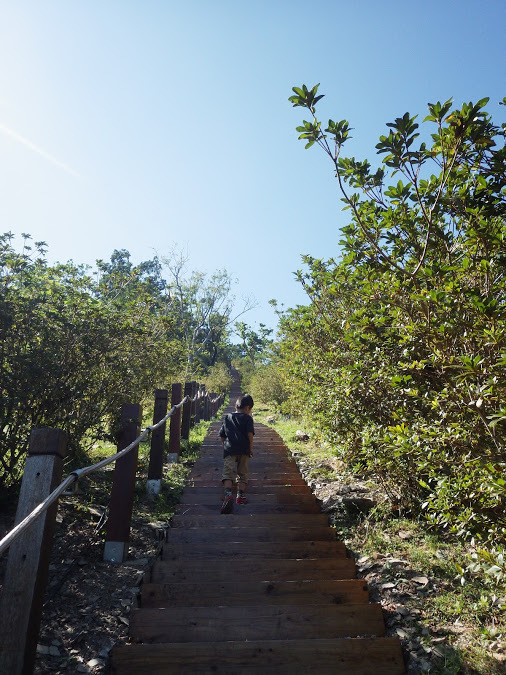 f0201157_14575350.jpg