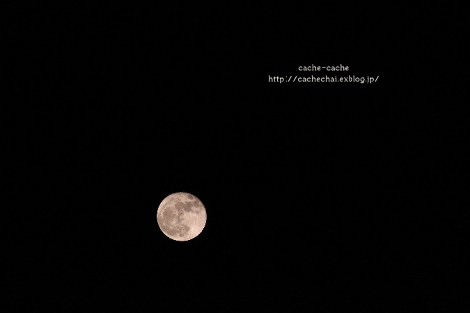 b0366862_22572566.jpg