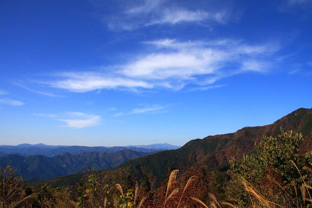 e0220163_19081419.jpg