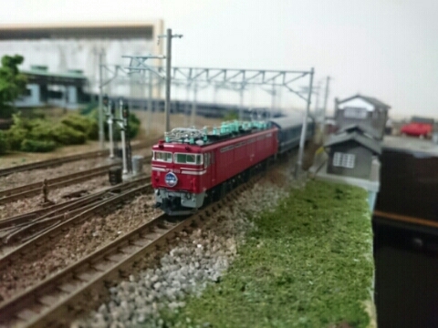 f0131165_23163525.jpg