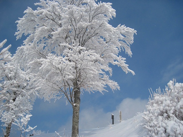 c0219866_18291450.jpg