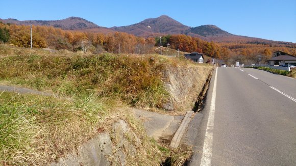 b0050067_00001020.jpg