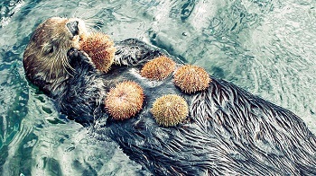 a0315876_12001222.jpeg