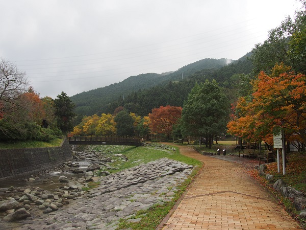 f0101679_22301225.jpg