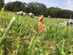 c0069380_11025203.jpg