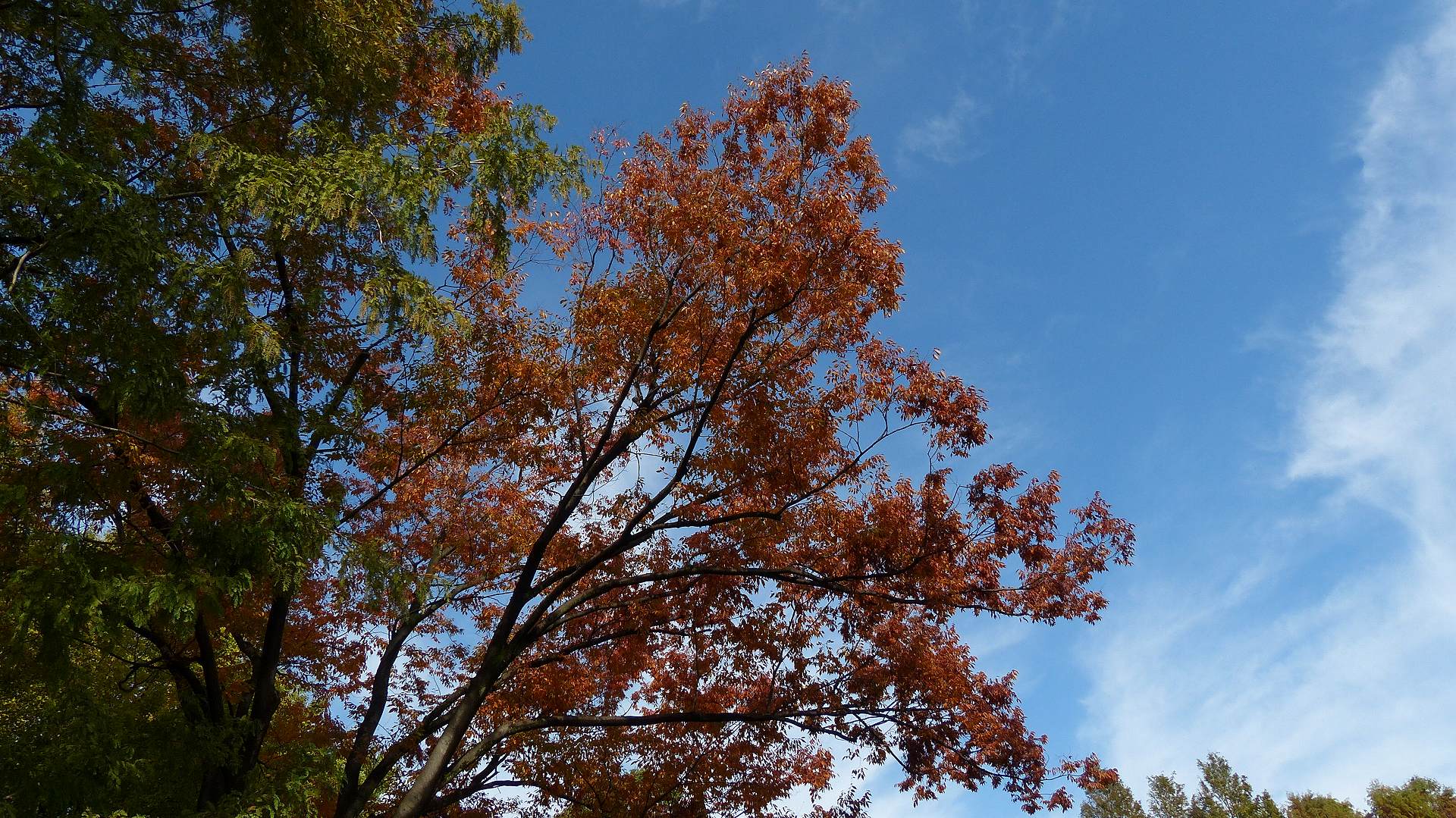 a0185081_1653553.jpg