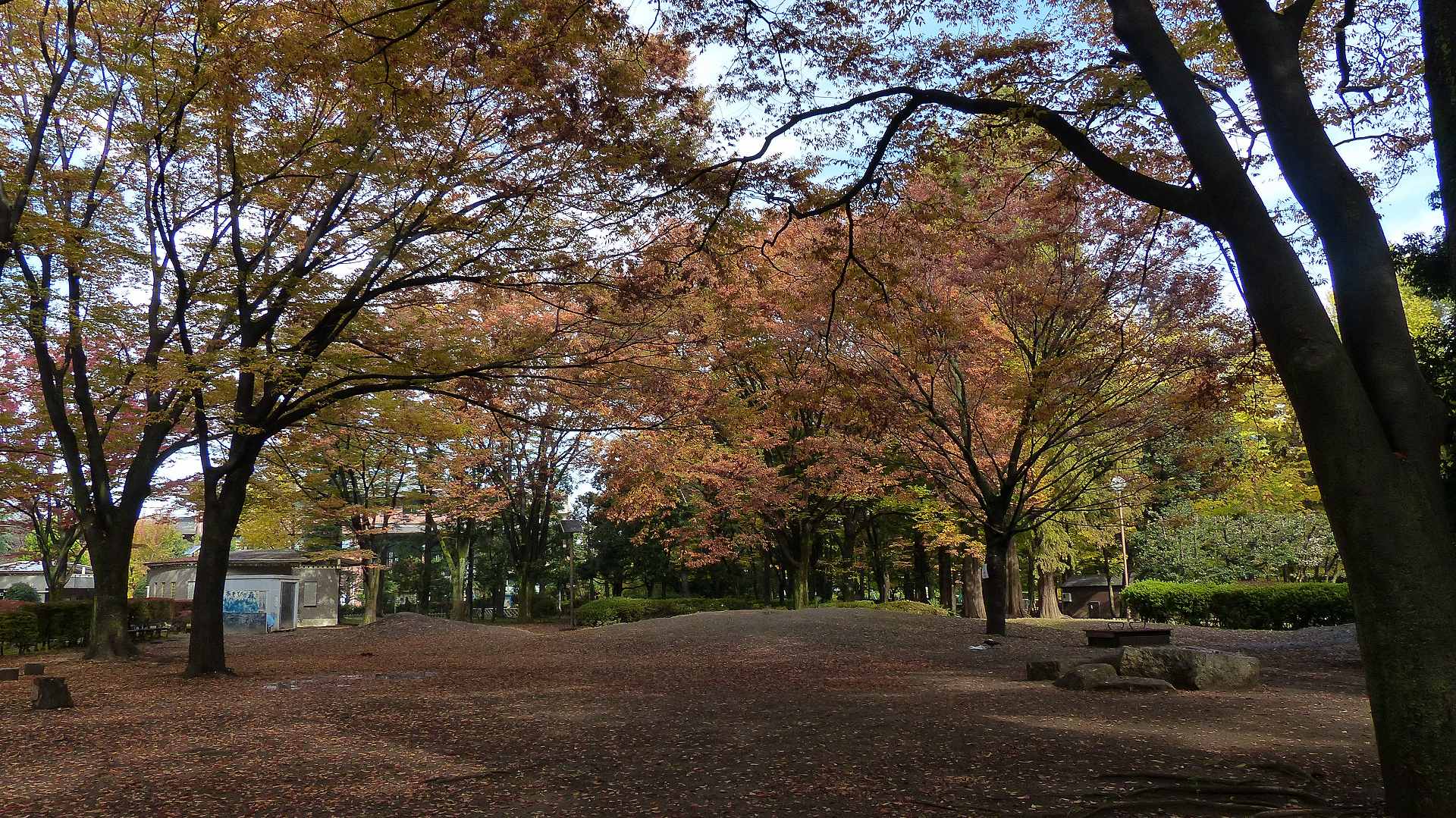 a0185081_166246.jpg