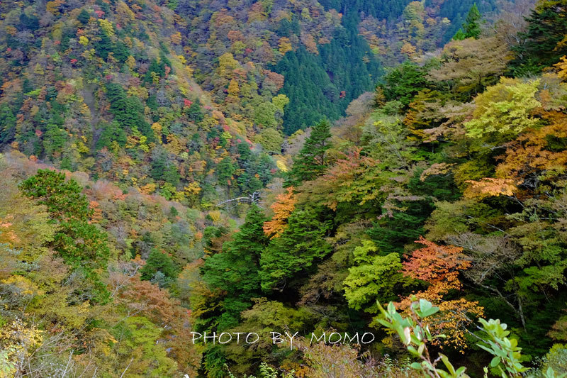 e0243382_21012166.jpg