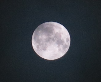 e0130185_11231478.jpg