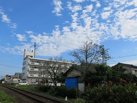 e0130185_11234163.jpg