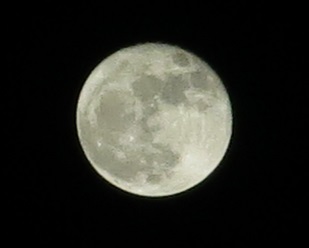 e0130185_21183298.jpg
