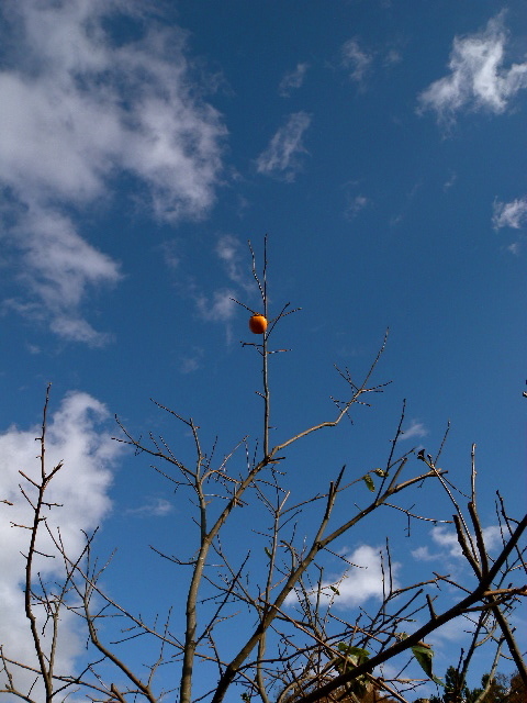 a0199297_22505907.jpg