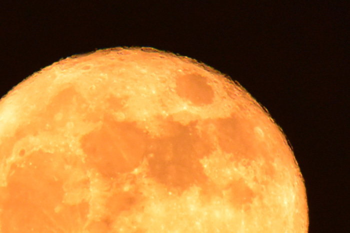 c0049299_23044794.jpg