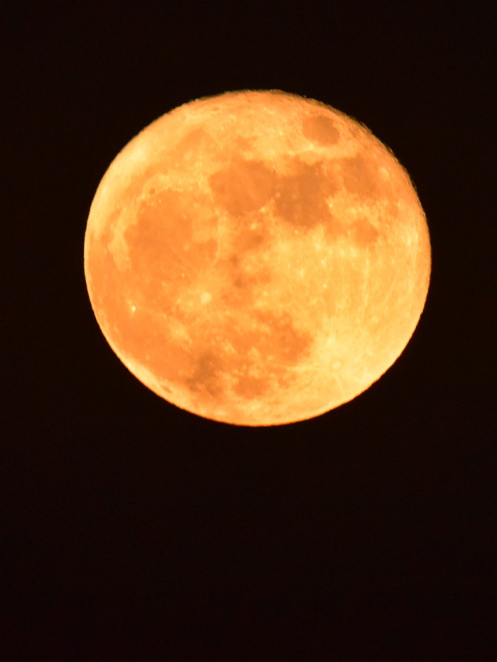 c0049299_23045325.jpg