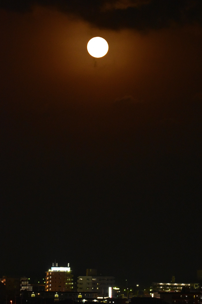 c0049299_23050079.jpg